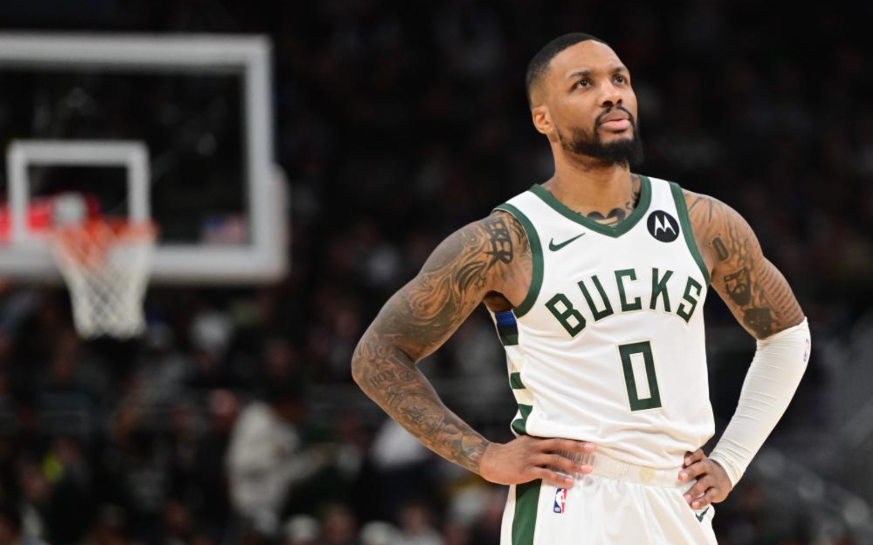 明星球员的 明星球员的