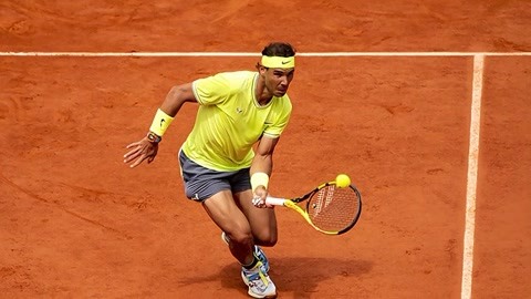 花的态势 花的态势