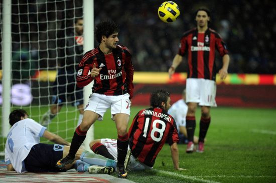 广东东阳光 广东东阳光